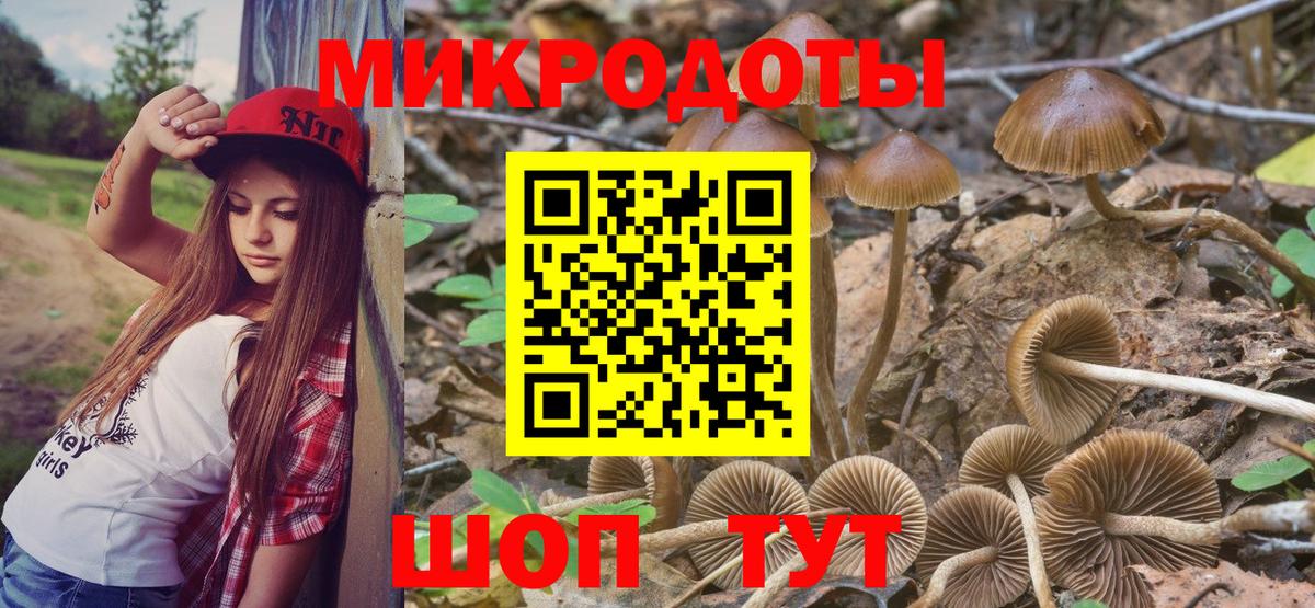 Галлюциногенные грибы ЛСД  Псилоцибиновые грибы MAGIC MUSHROOMS  Ревда  Вход с VPN 